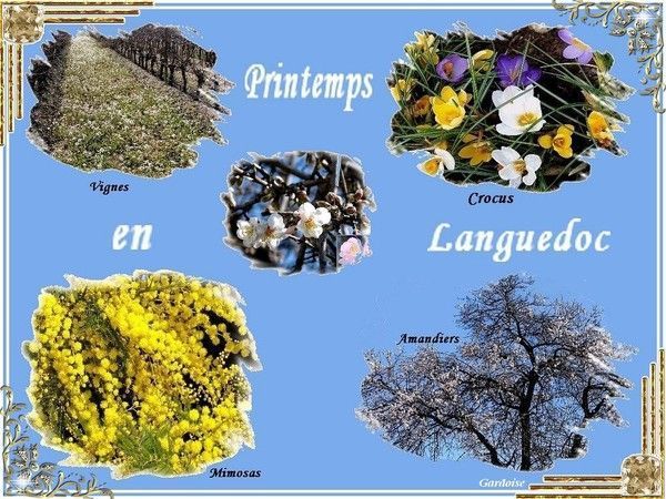 Printemps en Languedoc