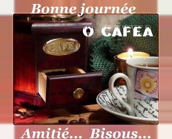 Bonne journée